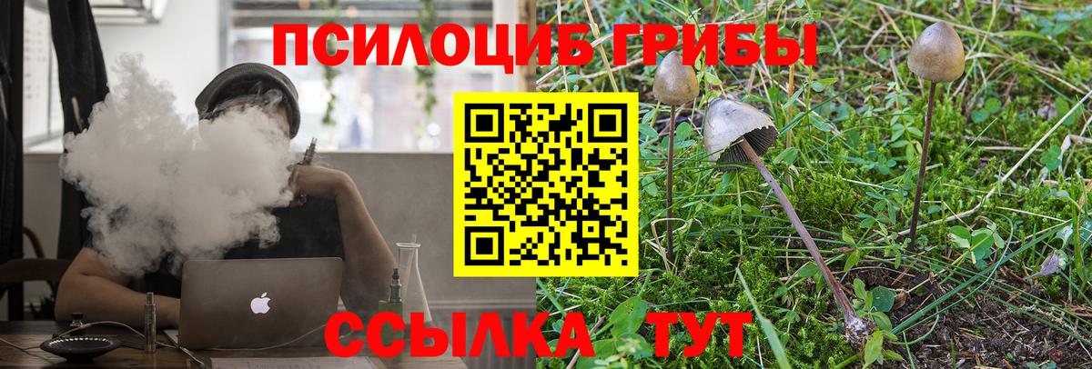 Псилоцибиновые грибы мухоморы  Вход с VPN  Советск 
