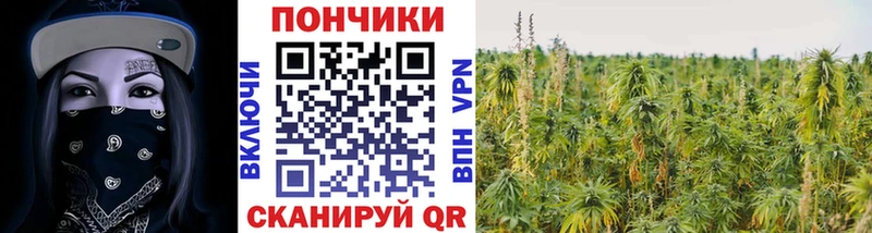 OMG как зайти где купить наркоту Советск Бошки Шишки конопля